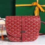 Belvedere PM Bag (10)